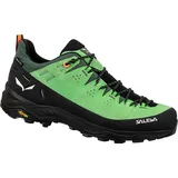 Salewa Alp Trainer 2 GTX Herren Pale Frog/Black 40,5