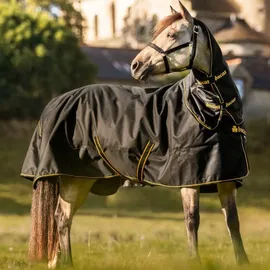 Bucas Irish Turnout Light - Neck Set in Black/Gold Größe:115