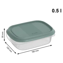 Rotho Frischhaltedose grün 6-teiliges Set
