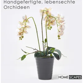 Homescapes KUNSTBLUME Orchidee weiß-pink im Deko-Topf, 56 cm