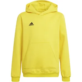 adidas Hoodie Mehrfarbig 176