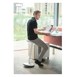 Sedus Se:fit schwarz