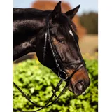 Covalliero Trensenzaum Standard Leder Full Schwarz