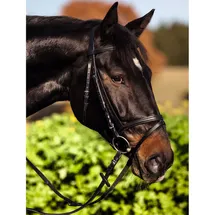 Covalliero Trensenzaum Standard Leder Full Schwarz