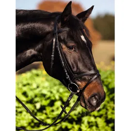 Covalliero Trensenzaum Standard Leder Full Schwarz