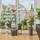Gardena Urlaubsbewässerung-Set 30 m 13366-20