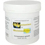 Groß GmbH - medizinisch-technische Handelsvertretung Rosskastanien Weinlaub Pflege Gel 250 ml