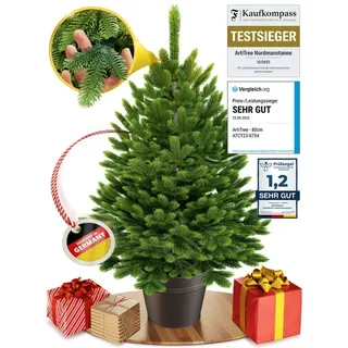 artitree Künstlicher Weihnachtsbaum künstlich (100% Spritzguss) -Naturgetreuer Tannenbaum im Topf 40-80 cm