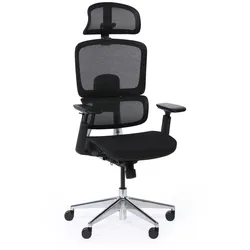 Bürostuhl  WILMOT, schwarze Konstruktion, schwarz