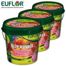 Euflor Blumendünger 1 kg
