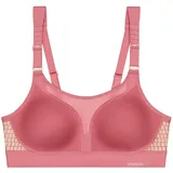 Triumph Triaction Triaction Rosa S