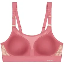 Triumph Triaction Triaction Rosa S