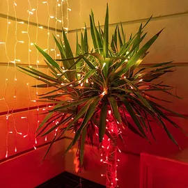 Twinkly LED Lichterkette 32 m Schwarz