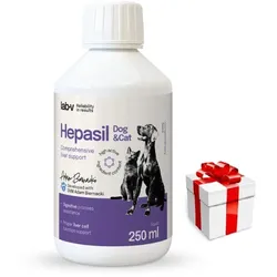 Lab-v Hepasil Dog & Cat Präparat zur Verbesserung der Leberfunktion für Hunde und Katzen 250 ml + Überraschung für die Katze