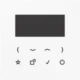 Jung Display für Smart Radio DAB LS-DISP WW