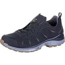 Lowa Innox EVO II GTX anthrazit/bronze