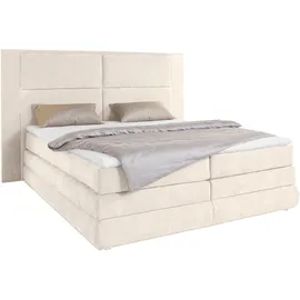 Collection AB Copenhagen 231 x 215 cm Beige