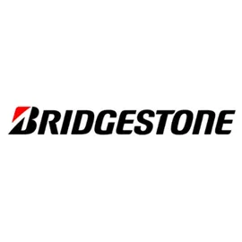 Bridgestone Blizzak 6 205/50 R17 93V XL