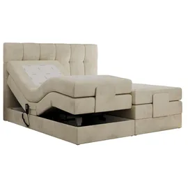 MKS Vittoria 160 x 200 cm H4 Beige