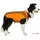 Wolters Regenjacke Easy Rain Hundemantel braun/orange 48 cm