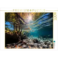 Calvendo Puzzle In den Mangroven - tropische Fische 1000
