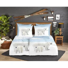 Muller Textil Wendebettwäsche Eisbär Blau 135 x 200 cm + 80 x 80 cm