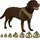 Karlie Step&go Bento Hundegeschirr Grün XL