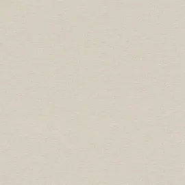 Rasch Textil Vliestapete 448634 10,05m x 0,53m 0 g Beige 448634