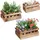 Relaxdays Blumenkasten 25,5 x 18,5 x 12 cm Braun Komplettset