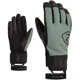 Ziener Gaspar AS(R) PR Glove ski Alpine