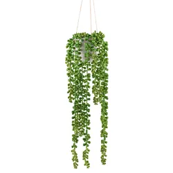 Kunstranke CREATIV GREEN "Sedum", grün, H:50cm, Kunststoff, Kunstpflanzen, mit üppigen Ranken