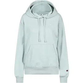 Champion Hoodie Clever Sage 34