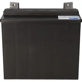 Sonnenschein / Exide Akkusatz für Scheuersaugmaschine Gansow CT15 2x 12V 28Ah Bleigel Zyklenfest