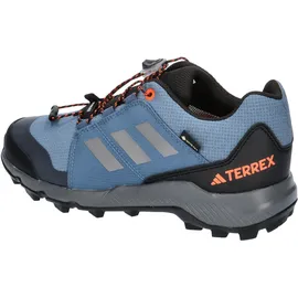 Adidas Terrex GORE-TEX, Hiking Shoes wonder steel/grey three/impact orange, AELD - wonste/grethr/impora 32