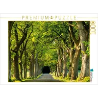 Calvendo Rügens Alleen Puzzle