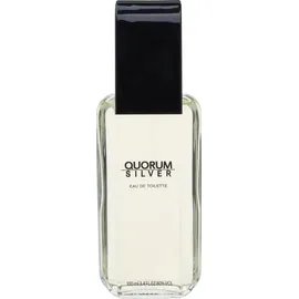 PUIG Quorum Silver Eau de Toilette 100 ml