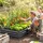 Outsunny Hochbeet 241 x 90,5 x 30 cm Grau