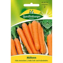 Quedlinburger Saatgut | Möhren Amsterdam 2 Samen
