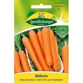 Quedlinburger Saatgut | Möhren Amsterdam 2 Samen