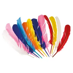 12 Bunte Indianer Federn - OS