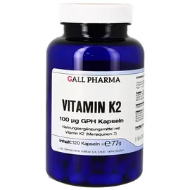 Hecht Pharma Vitamin K2 100 μg GPH Kapseln 120 St.