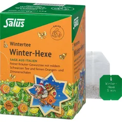 Winter-Hexe Kräuter-Gewürztee Bio Salus 15 ST
