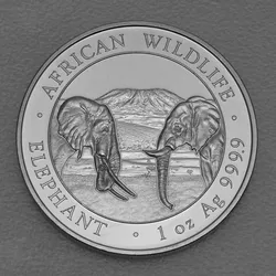 Silbermünze 1oz Elefant 2020 African Wildlife (Somalia)