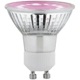 Paulmann LED-Pflanzenlampe Wachstum 230V GU10 3,5W 1100K Wachstumslicht