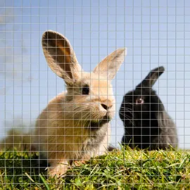 Wiltec Volierendraht 1 x 10 m, Hasendraht mit 6,3 mm Maschenweite sechseckig, Kaninchendraht Stahl verzinkt, wetterfester Hühnerdraht für Gehege