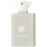 Amouage Odyssey Decision Eau de Parfum 100 ml