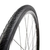 Tannus Shield Regular Tubeless 20 ́ ́ X 38 Steifer Urbanreifen