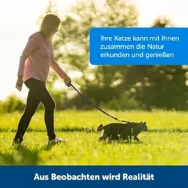 PetSafe Easy Walk Katzengeschirr, Rot, S,