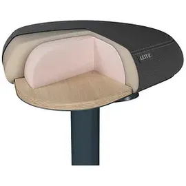 Leitz Hocker Ergo Active Kunststoff 37 x 17 x 37 cm Grau