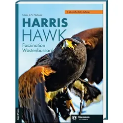 Harris Hawk